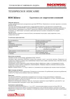 Microsoft Word - ROCKforce_2006.doc